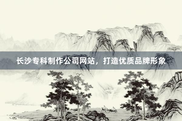长沙专科制作公司网站，打造优质品牌形象